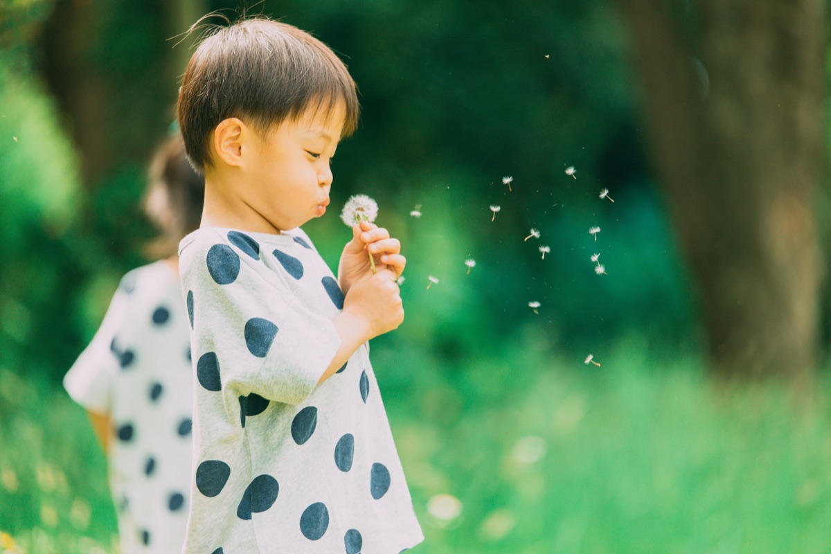 irodoriで過ごす子どもの様子